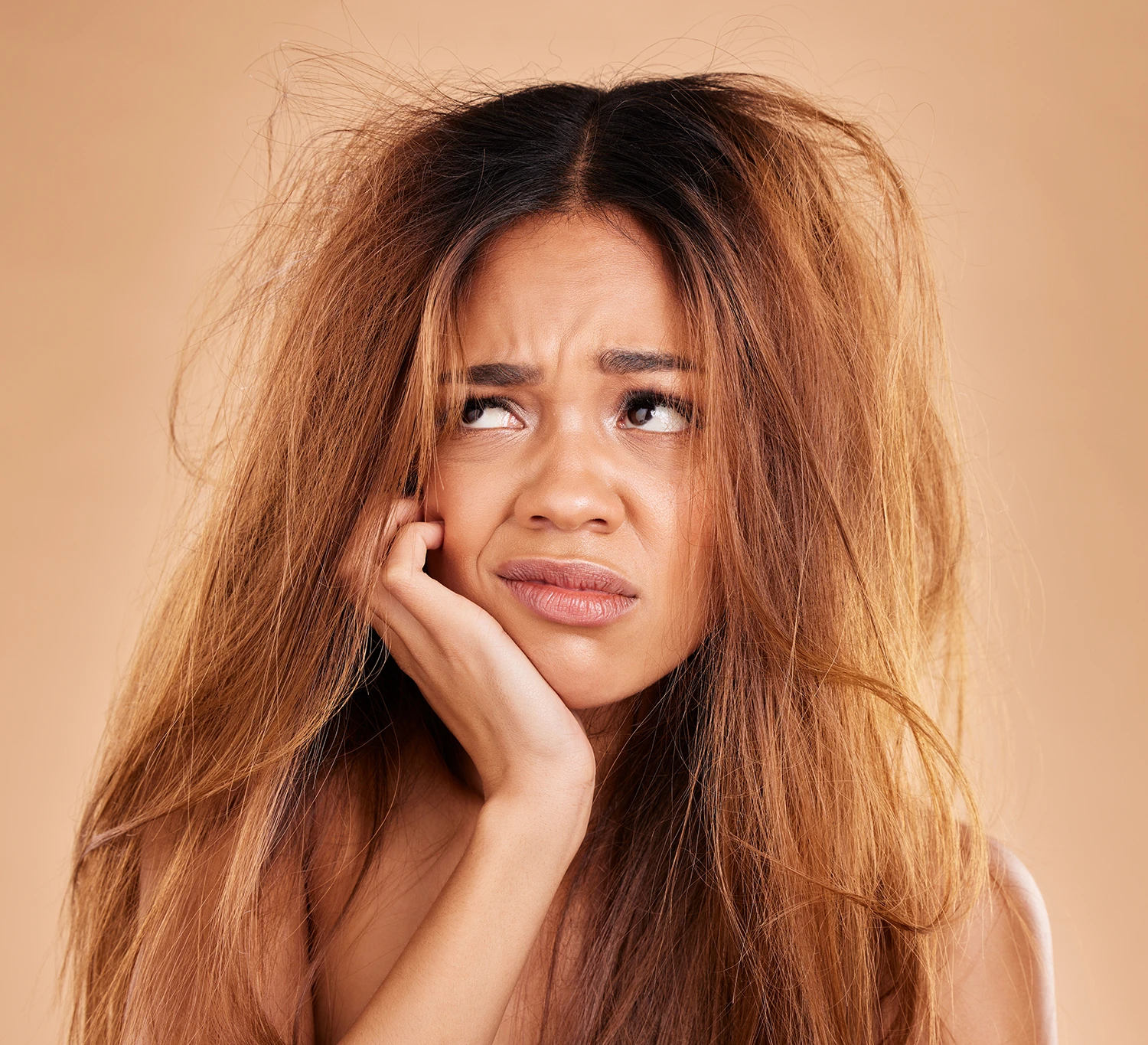 Woman struggling with dry and frizzy hair before treatment at salon
